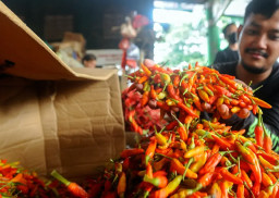Pasca Idul Adha, Harga Cabai di Pasar Sumenep Berangsur Normal
