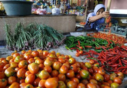 Harga Tomat di Pasar Genteng Banyuwangi Melandai, Sentuh Rp 10 Ribu/Kg