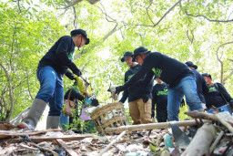 Peduli Lingkungan Hidup, PLN Ajak Ratusan Pegawai Bersihkan Hutan Mangrove