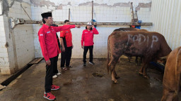 PDIP Surabaya: Idul Adha Momen Perkuat Spiritual dan Semangat Berkurban