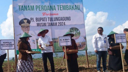 Pj Bupati Tulungagung Minta Petani Tidak 'Latah'
