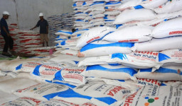 Penerima Pupuk Bersubsidi akan Diperbarui Tiap Bulan