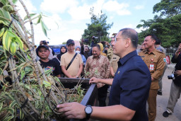 Go International, 3.500 Tanaman Hias Song of India Diekspor ke China