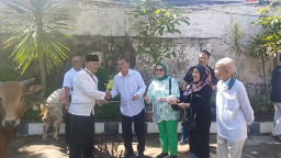 Tingkatkan Keperdulian Sosial Dimomentun Idul Adha, Unipra Sembelih 2 Ekor Sapi Kurban