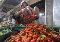 Dinas Perdagangan: Harga Naik, Stok Cabai Rawit di Kota Madiun Aman