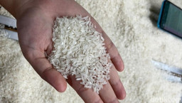 Kemendagri Minta Bulog Turunkan Harga Beras