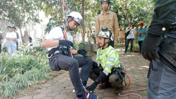 PLN Salurkan TJSL Sertifikasi Arborist untuk Profesional Pangkas Pohon