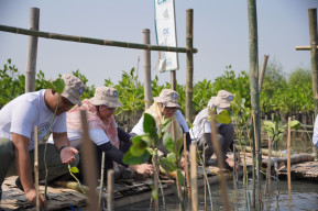 Tanam 1.000 Mangrove Bebas Plastik, PLN Peringati Hari Mangrove Sedunia