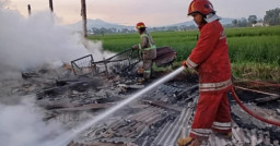 Kandang Ayam di Jombang Terbakar, Kerugian Capai Ratusan Juta
