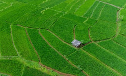 Beralih Fungsi Jadi Perumahan, Lahan Pertanian di Kota Blitar Menyusut