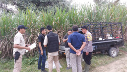 Bapak dan Anak Dilarikan ke Rumah Sakit Usai Cek-cok dengan RT