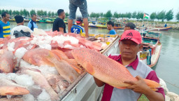 Konsumsi Ikan di Lamongan Alami Peningkatan 7 Persen di Tahun 2023