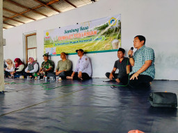 Pupuk Matahari Terbit, Bisa Jadi Solusi saat Petani Susah Cari Pupuk