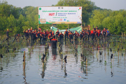 Peringatan Kebun Raya Mangrove Surabaya, Ada 3000 Bibit Ditanam