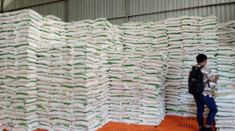 BPS: Panen Raya Usai Jadi Salah Satu Penyebab