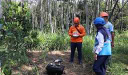 Penuhi Kebutuhan Listrik Pelanggan, PLN Rabas Pohon Sekitar Jaringan SUTT