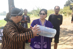 Momentum HUT RI, Pemkot Kediri Tebar 35 Ribu Bibit Ikan ke Sungai Brantas