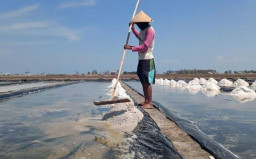 Diguyur Hujan Berhari-hari, Produksi Garam di Sampang Terhambat