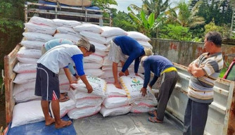 Wacana Pupuk Subsidi Diganti BLT, Petani di Madiun Kurang Setuju