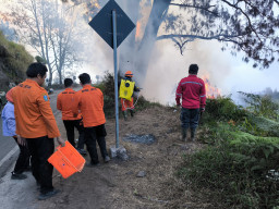 Temukan Karhutla di Penanjakan Gunung Bromo, Tim BPBD Jatim Langsung Berjibaku Padamkan Api