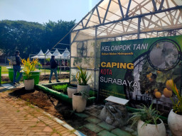 Jemur Wonosari Berdayakan Ekonomi Warga Melalui Inovasi Pemanfaatan Lahan untuk Raih Prestasi