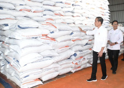 Jokowi Akui Mahalnya Harga Beras, Gegara Impor