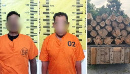 Polisi Amankan 2 Pelaku dan BB Satu Truk Kayu Curian