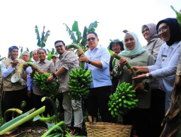 Pj Gubernur Adhy Sebut Pemanfaatan Hutan Sosial Berpotensi Turunkan Kemiskinan Ekstrem di Jatim