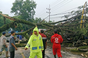 Diterjang Hujan Angin, Rumah dan Akses Jalan di Malang Alami Kerusakan