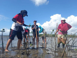 Desa Wringinputih Jadi Objek Eduwisata-Ekowisata Mangrove Berkelanjutan