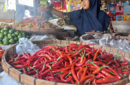 Panen Raya, Harga Cabai di Pasar Besar Kota Pasuruan Justru Anjlok