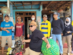 Desa Kebonagung Jadi Penghasil Jeruk Nipis Terbesar di Gresik