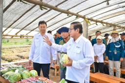 Tawangargo Smart-Eco Farming Village Jadi Pusat Hortikultura dan Contoh Pertanian Berkelanjutan