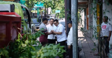 Minimalisir Pohon Tumbang, Pj Ali Kuncoro Instruksikan DLH Masifkan Perantingan dan Peremajaan Pohon