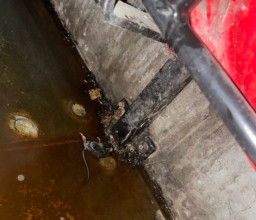 Ada Bangkai Tikus di Old Trafford, MU Langsung Panen Hujatan