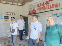 Dispertangan Situbondo Catat Serapan Pupuk Capai 81 Persen hingga Oktober