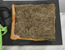 Pengedar Sabu dan Ganja di Malang Diamankan Polisi