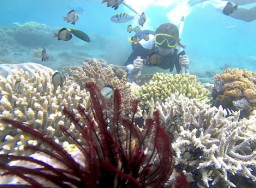 Destinasi Wisata Bangsring Underwater, Surganya Pecinta Snorkeling