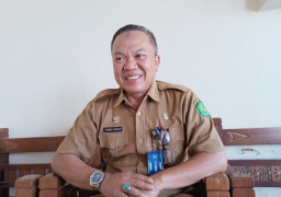 Dinkes Sumenep Catat 1.243 Orang Positif Terserang Penyakit DBD