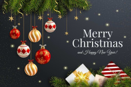 Merry Christmas and Happy New Year