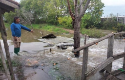 Diterjang Banjir, Puluhan Hektar Tambak Udang hingga Bandeng di Pasuruan Jebol