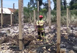 5000 Ayam Broiler Ludes Terbakar, Pemilik Rugi Ratusan Juta Rupiah