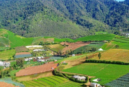 Destinasi Wisata Brakseng Tawarkan Pemandangan Perkebunan yang Sejuk Asri