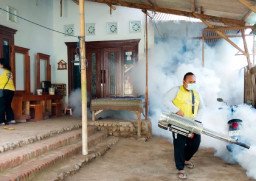 Kasus DBD Tinggi, Pemkab Situbondo Catat 16 Kasus per Januari 2025