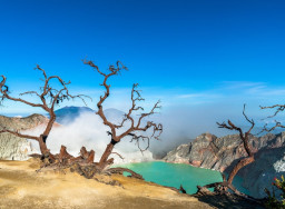 Selama 2025, Pemkab Banyuwangi Targetkan 3,7 Juta Kunjungan Wisatawan