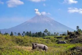 BPBD Lumajang Imbau Pakai Masker dan Kacamata, Antisipasi Hujan Abu Semeru