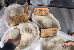 Bulog Pastikan Maret, Indonesia Surplus Beras