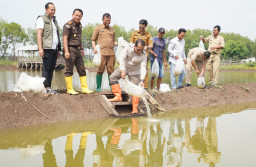 Dukung Ketahanan Pangan, Pasuruan Tebar Puluhan Ribu Benih Bandeng