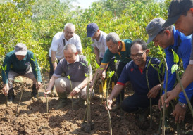 Dukung Program Net Zero Carbon, Pemkab Trenggalek Tanam 750 Bibit Mangrove