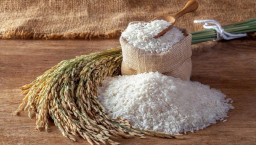 Program Pengadaan Beras untuk ASN di Jombang Dikaji Ulang, Petani Ikut Kecipratan